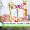 Colon Cleansing: Myth or Fact for Better Health?